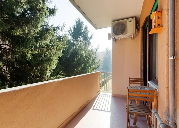 Guesthost - Bright And Modern *